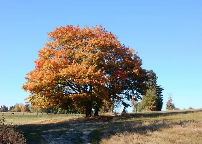 Apartma Jablonec Jablonec nad Nisou